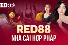 Red88 – Trang chủ nhà cái uy tín số 1 VN | Link vào Red88