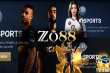Zo88 – Sảnh cá cược giải trí online đẳng cấp top 1 hiện nay